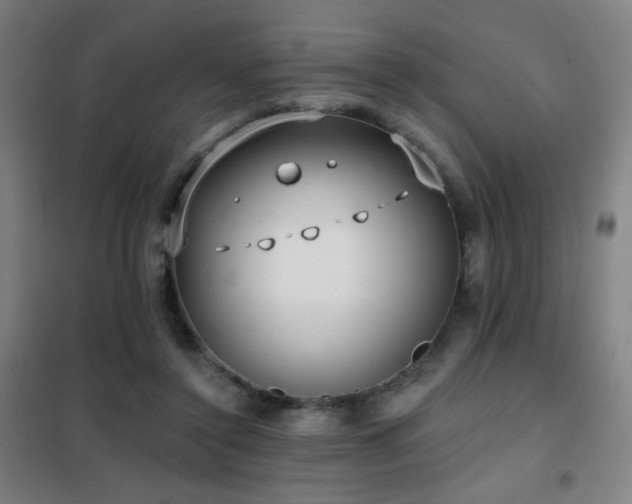 X0000102290356200807251427