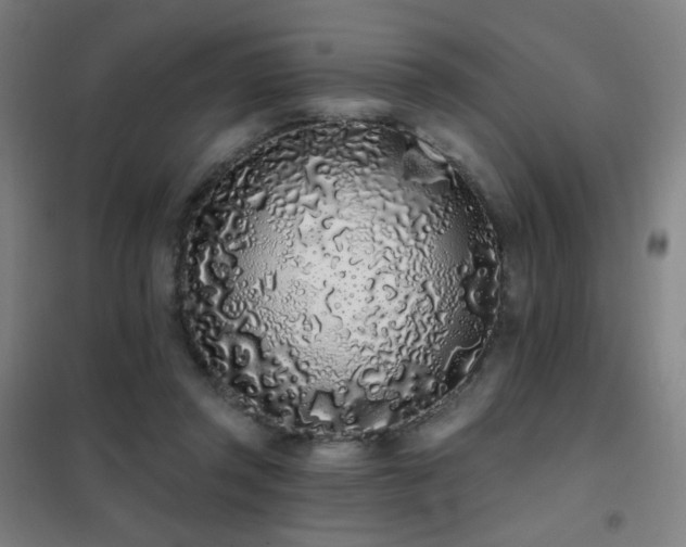 X0000102290357200807251427