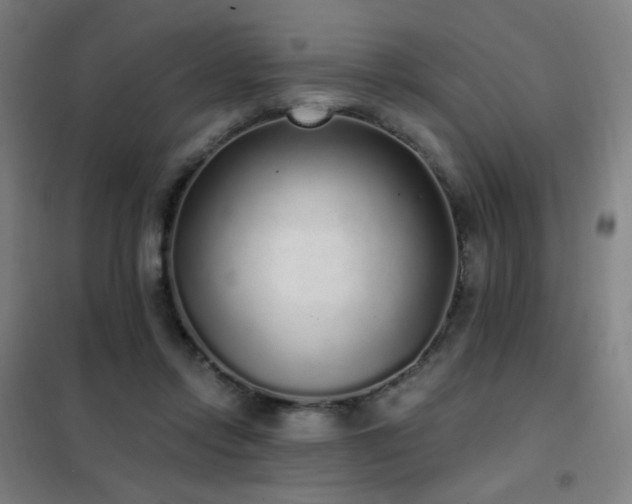 X0000102290358200807251427