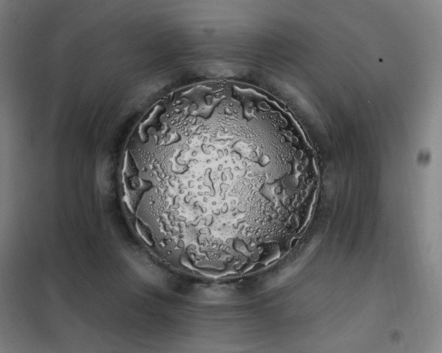 X0000102290359200807251427