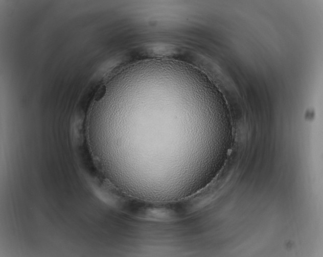 X0000102290360200807251427