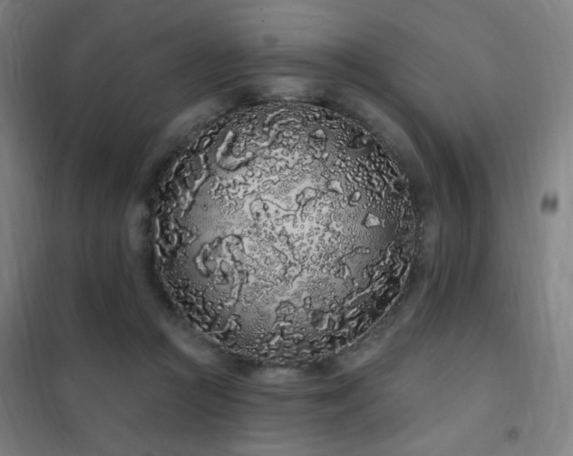 X0000102290361200807251427