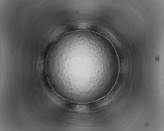 X0000102290363200807251427