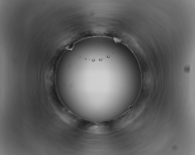 X0000102290364200807251427