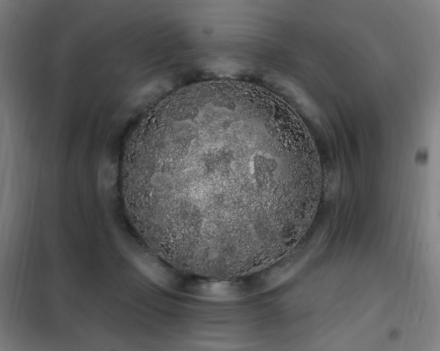 X0000102290365200807251427