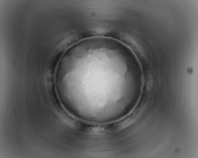 X0000102290366200807251427