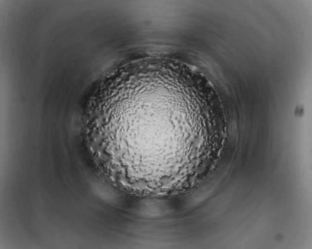 X0000102290367200807251427