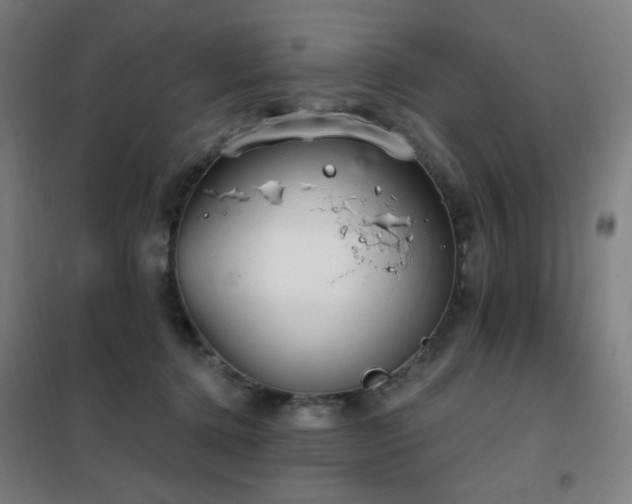 X0000102290368200807251427