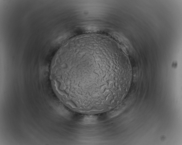 X0000102290369200807251427