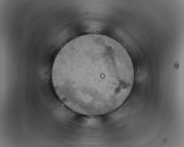 X0000102290370200807251427