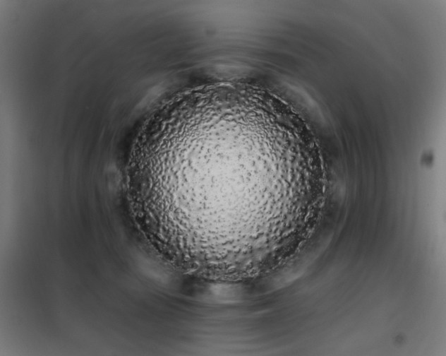 X0000102290371200807251427