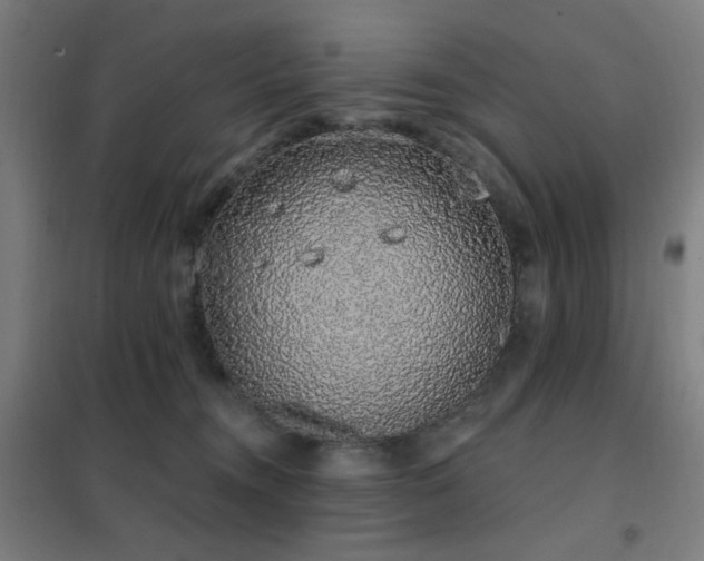 X0000102290372200807251427
