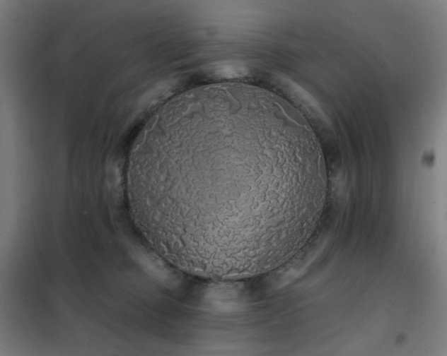 X0000102290373200807251427