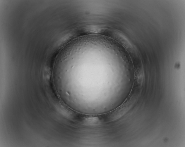 X0000102290374200807251427