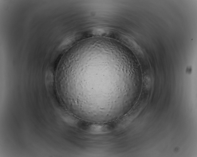 X0000102290375200807251427