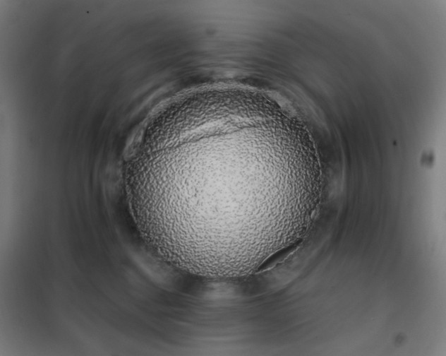 X0000102290376200807251427