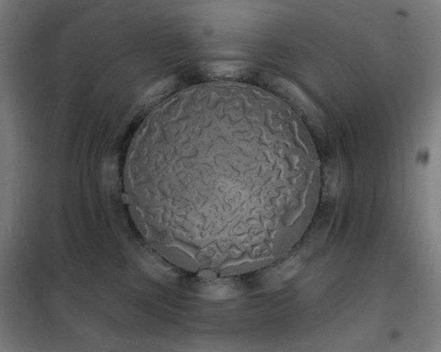 X0000102290377200807251427