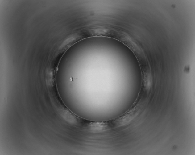 X0000102290378200807251427