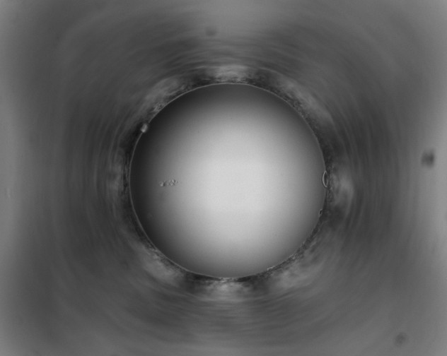 X0000102290379200807251427