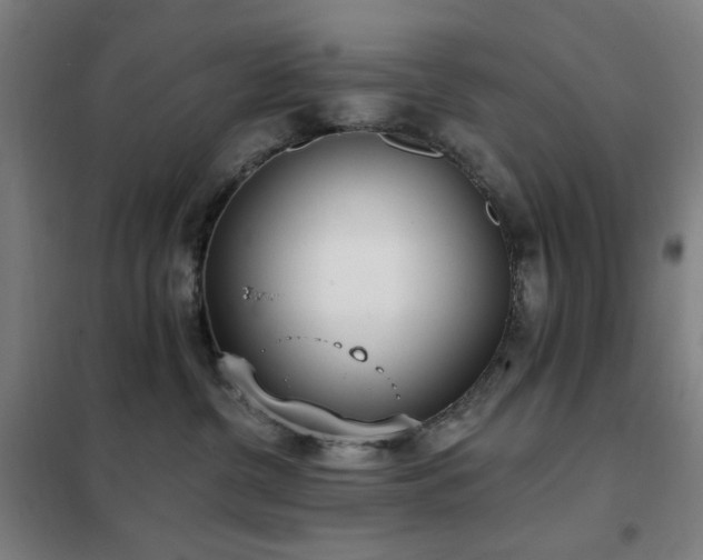 X0000102290380200807251427