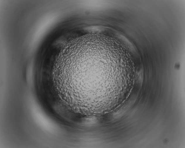 X0000102290381200807251427