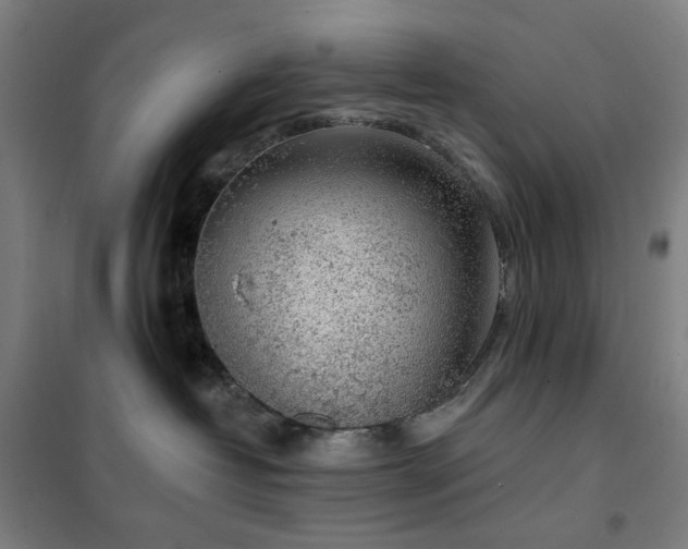 X0000102290382200807251427
