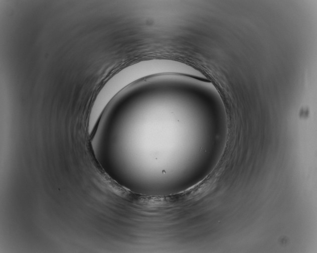 X0000102290384200807251427