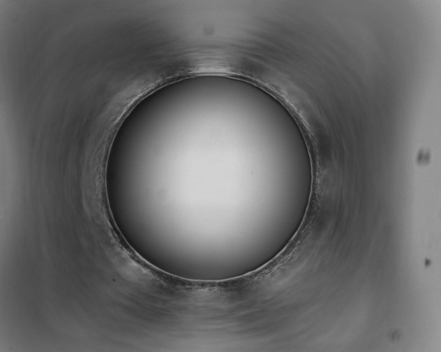 X0000102290385200807251426