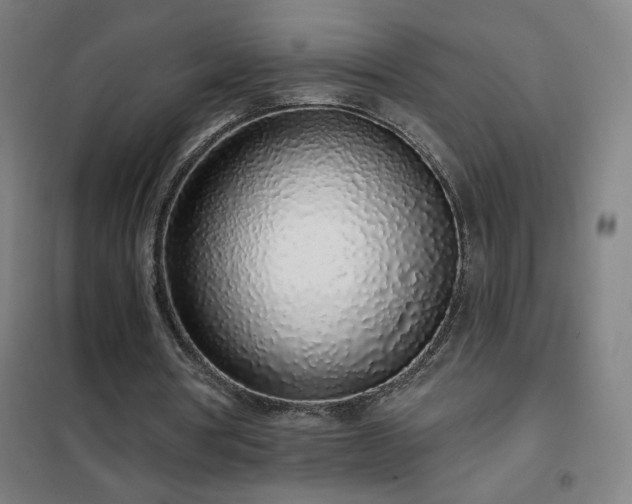 X0000102290386200807251426