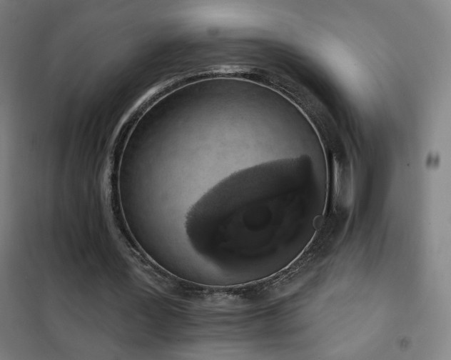 X0000102290387200807251426