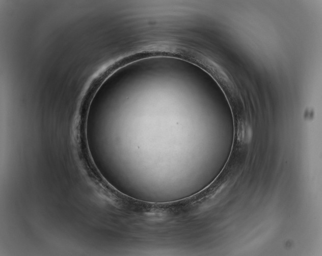 X0000102290388200807251426