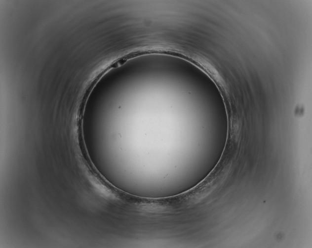 X0000102290389200807251426