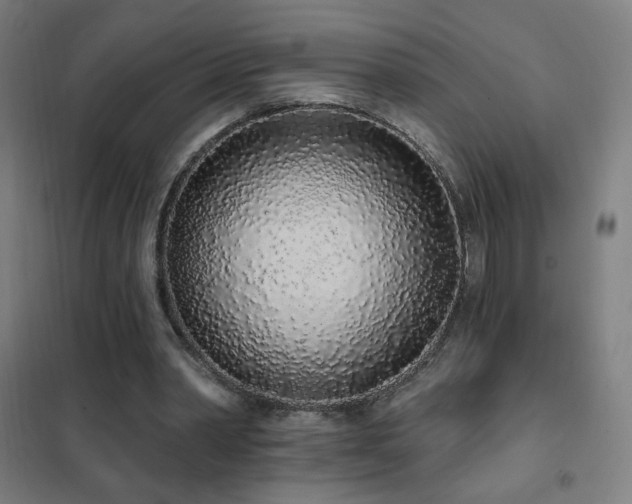 X0000102290390200807251426