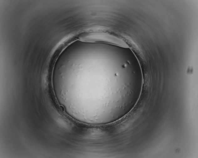 X0000102290392200807251426