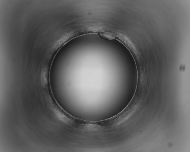 X0000102290393200807251426