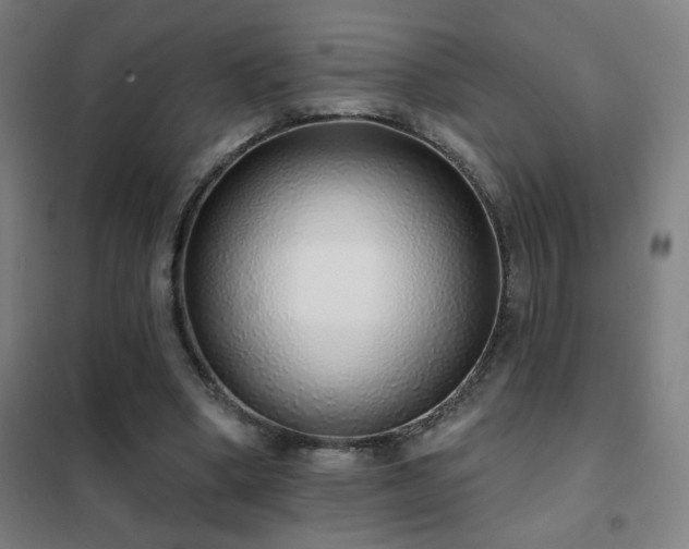 X0000102290394200807251426