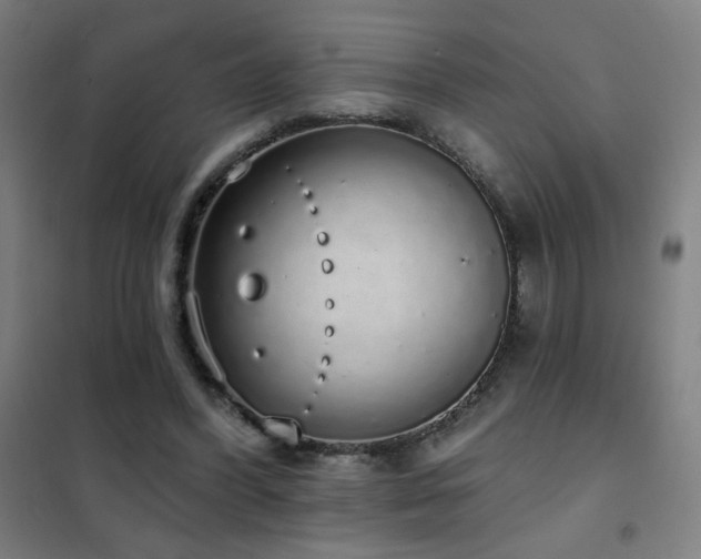 X0000102290396200807251426