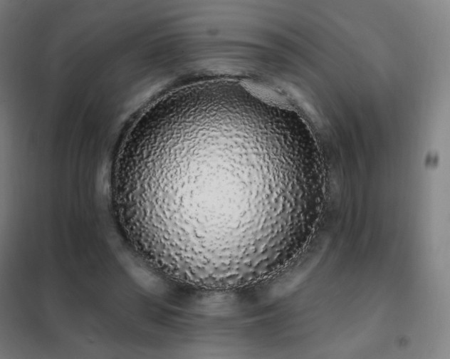 X0000102290398200807251426