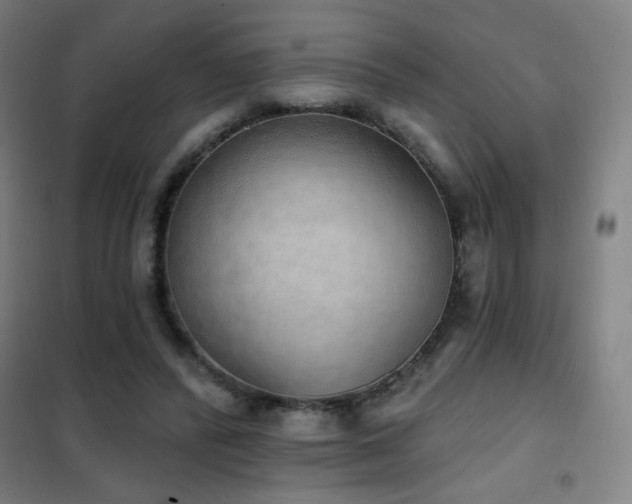 X0000102290400200807251426