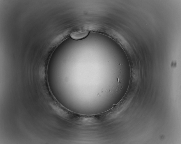 X0000102290401200807251426