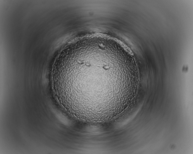 X0000102290402200807251426