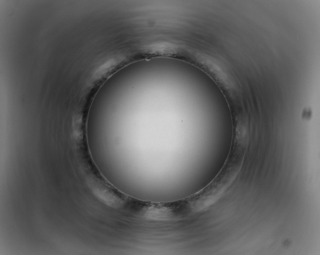 X0000102290403200807251426