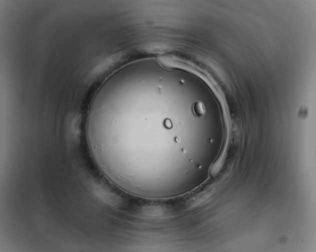 X0000102290404200807251426