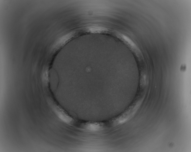 X0000102290405200807251426