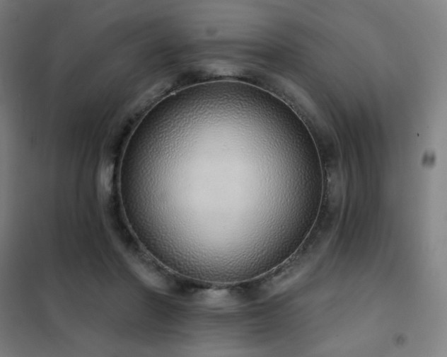 X0000102290406200807251426