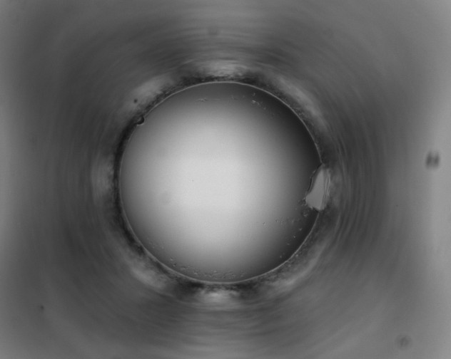X0000102290407200807251426