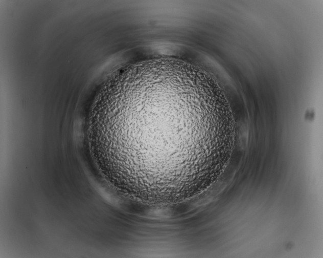 X0000102290410200807251426