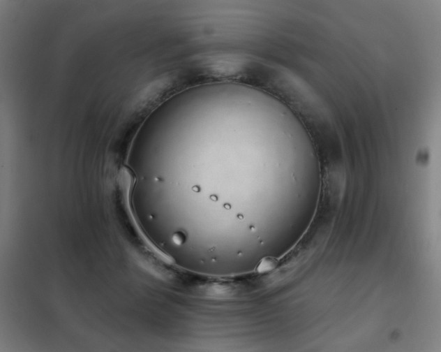 X0000102290412200807251426