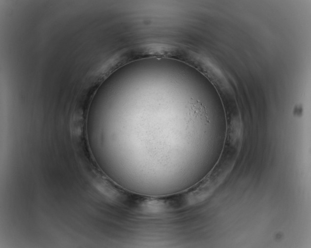 X0000102290413200807251426
