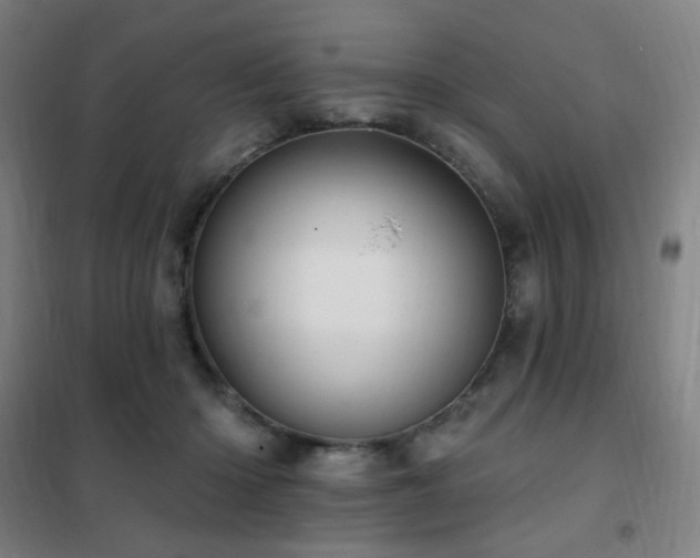 X0000102290414200807251426